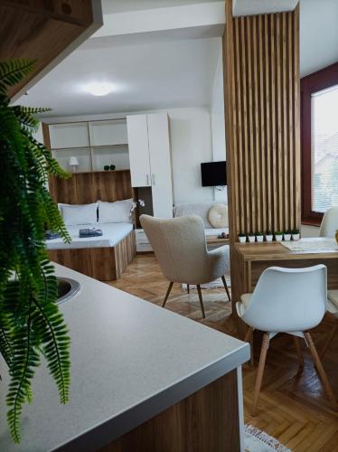 a kitchen and living room with a bed and chairs at Apartman Rajska Banja in Vrnjačka Banja