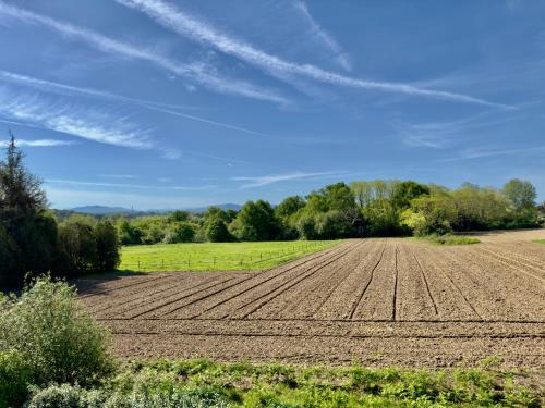 a plowed field with a blue sky in the background at Maison des Chênes 64 - Independant apartment with terrasse in Boucau