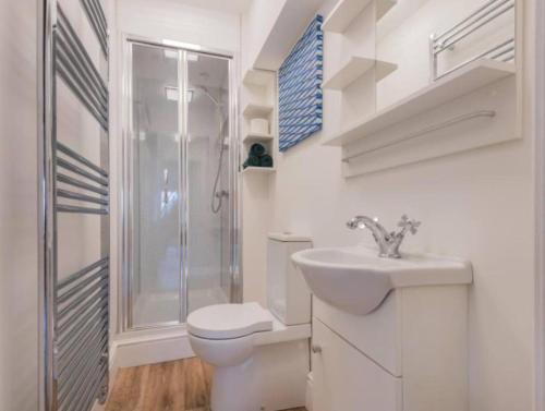 a bathroom with a toilet and a sink and a shower at The Penthouse - in the heart of Sedbergh in Sedbergh