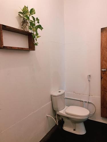 a bathroom with a toilet and a plant on the wall at Wave Hunters in Arugam Bay