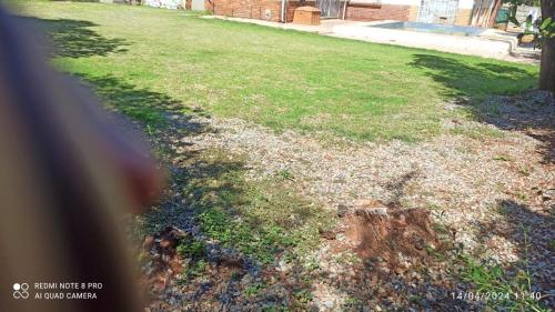 a view of a yard from a train window at JOLLY'S PARK GUEST HOUSE in Roodepoort