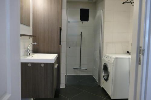 uma casa de banho com um lavatório e uma máquina de lavar roupa em 't Stookhok Gasselte em Gasselte