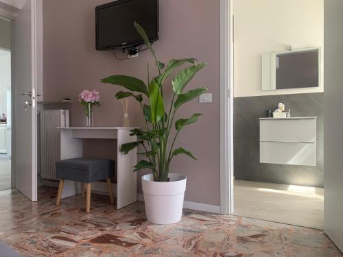 a plant in a white pot in a room at b&b Calvino in Piacenza