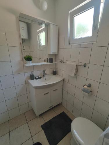 a bathroom with a sink and a toilet and a mirror at Apartment Matic Duboka in Duboka