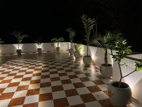 a room with a checkered floor with potted plants on it at Le Tamara Suite - TIE Hotels & Resorts in Auroville
