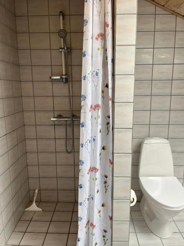 a bathroom with a toilet and a shower curtain at Cozy Apartment in Billund in Billund
