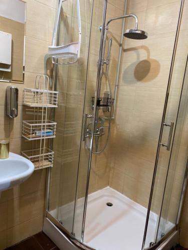a shower with a glass door in a bathroom at Apartament Hajstra z ogrodem in Grodzisk
