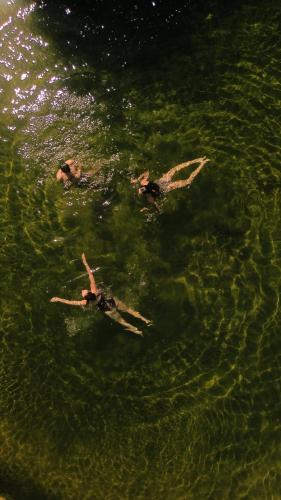 a group of people swimming in the water at Moa Living in Ẕofar