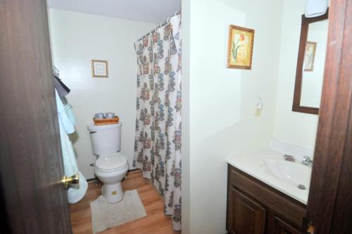 Ένα μπάνιο στο Fox Hollow - Hot Tub, Wifi, Pet Friendly, Screen Porch, Deck, Recreation Center, Pool Access, Golf Nearby, Hiking, Grill, Fireplace, King Bed