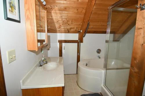 y baño con lavabo, ducha y bañera. en Lazy Bear Retreat - Classic Cabin!, en Morton Grove