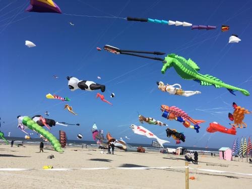 un montón de cometas volando en el cielo en una playa en Plain pied avec terrasse à 5 minutes de Berck, en Verton