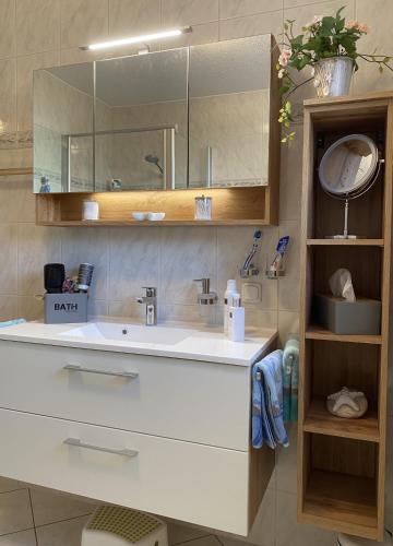 a bathroom with a sink and a mirror at AlpenAppartement Traumzeit in Bernau am Chiemsee