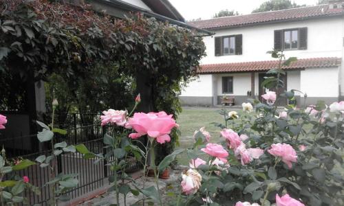 a garden with pink roses in front of a house at Artenatura BeB in Terranuova Bracciolini