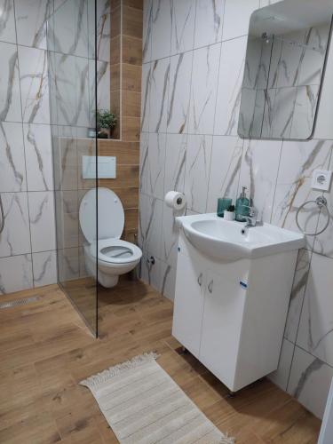 a bathroom with a toilet and a sink and a mirror at Apartmani Živković in Veliko Gradište