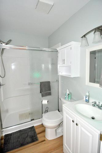 a bathroom with a shower and a toilet and a sink at Bear Necessities -Forget your Worries! in Great Cacapon
