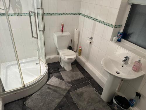 a bathroom with a toilet and a shower and a sink at 10 Edney Court in Earley