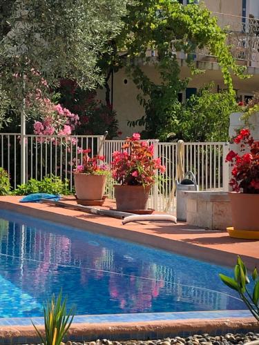 La maison-es-maisons.