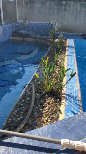 une piscine avec un tuyau et des plantes dans l'eau dans l'établissement La maison-es-maisons., à Valréas