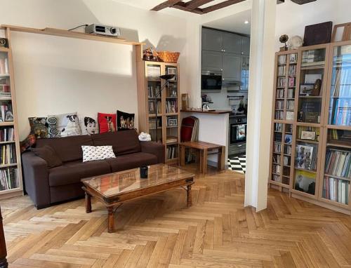 Beautiful flat Seine River-Saint Michel/Notre-Dame