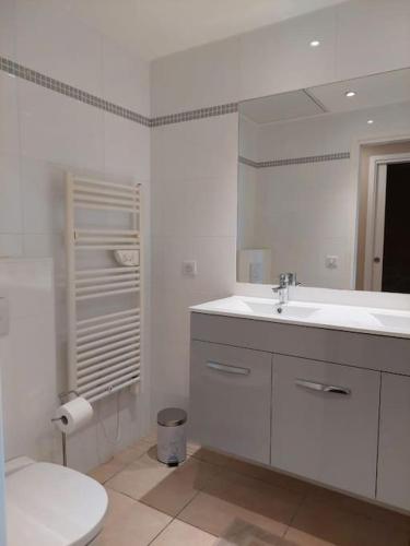 une salle de bain blanche avec des toilettes et un lavabo dans l'établissement Maison Gamine mit privatem Pool, à Cogolin