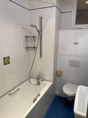 une salle de bain avec une baignoire, des toilettes et un lavabo dans l'établissement Beautiful flat Seine River-Saint Michel/Notre-Dame, à Paris