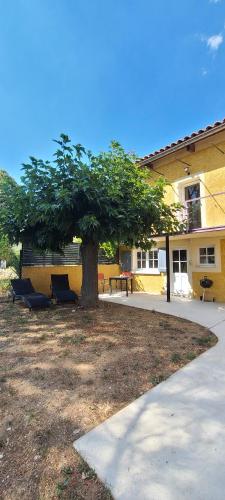 un arbre dans une cour devant un bâtiment dans l'établissement Gîte 1- LE RAZAL, à Vallon-Pont-dʼArc