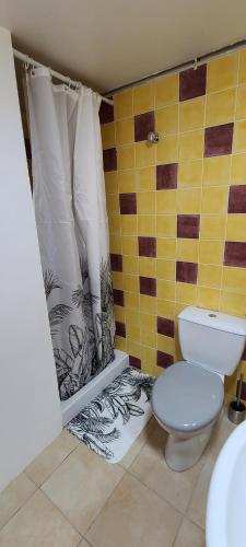 une salle de bain avec toilettes et rideau de douche dans l'établissement Gîte 1- LE RAZAL, à Vallon-Pont-dʼArc