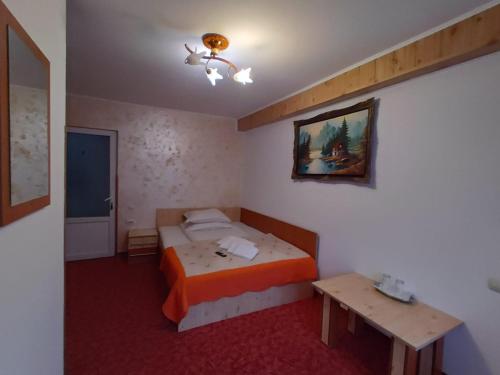 a small bedroom with a bed and a table at Pensiunea Dana Olteanu in Moieciu de Sus
