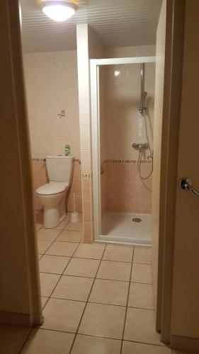 a bathroom with a toilet and a shower with a shower at Sur La Route Des Myrtilles in Gouézec
