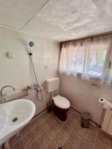 a bathroom with a toilet and a sink at Luylyana Guesthouse in Ribarica