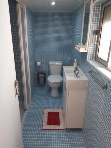 Baño de azulejos azules con aseo y lavamanos en Casa da Avó - Barroca en Barroca