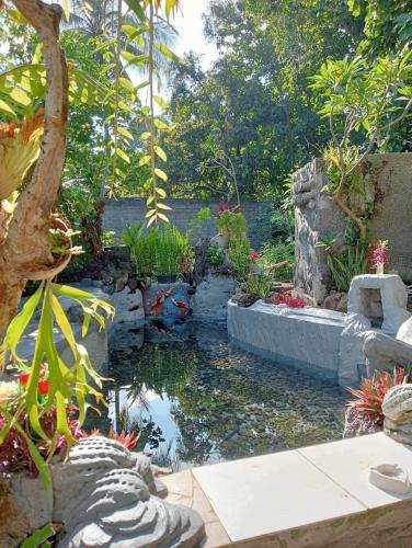 a koi pond in a garden with some plants at ATB Hostel in Lovina