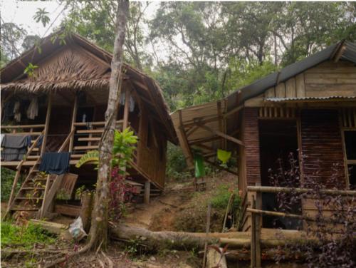 a couple of houses in a forest with trees at Holiday rental in Sumatra in Bukit Lawang