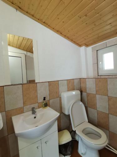 a bathroom with a toilet and a sink at Pensiunea Dana Olteanu in Moieciu de Sus