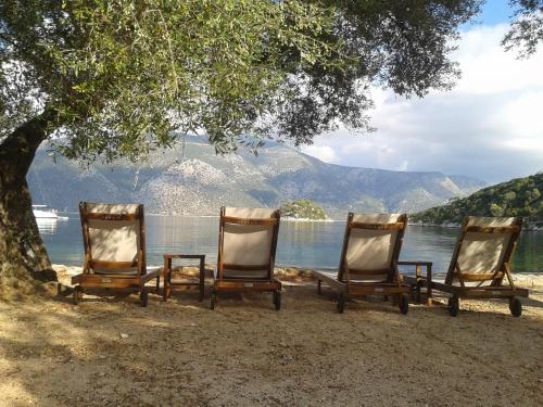 three chairs sitting on the beach under a tree at Forkis Apartments in Vathi, Ithaka
