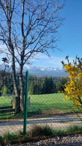 a fence with a view of a field and mountains at Panoramiczny Wierch in Rzepiska