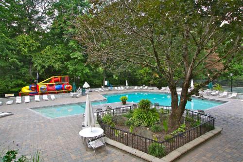 a swimming pool with a tree and an umbrella at Treetops Chalet - 3bd/2bt Boutique Cabin w/Mt Leconte views in Gatlinburg in Gatlinburg