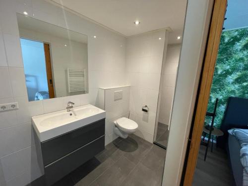 a bathroom with a sink and a toilet at Blossom Barn Lodges in Oudewater