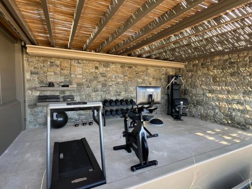 Fitness centrum a/nebo fitness zařízení v ubytování Bonzoe Suites & Villas