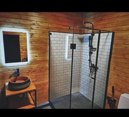 y baño con ducha y pared de madera. en Serenity at Lisi Lake, en Tiflis