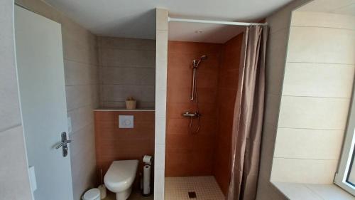 a bathroom with a shower and a toilet at Gîte La Maijou d'Aômés in Saint-Martin-le-Vieux