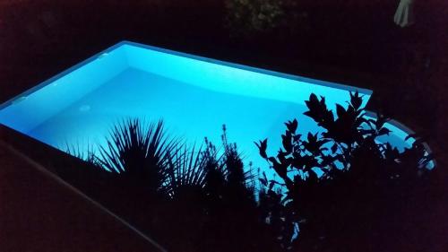 una vista nocturna de un cielo azul con plantas en Ferienwohnung für 2 Personen 2 Kinder ca 60 qm in Ližnjan, Istrien Südküste von Istrien - b53757, en Ližnjan