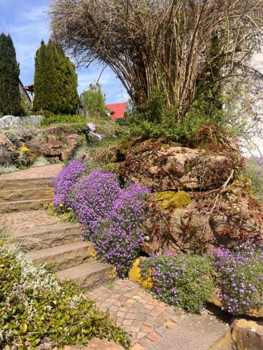a garden with purple flowers on a stone path at Gemütliche, sonnendurchflutete Ferienwohnung in Bodenseenähe am Säntisblick in Herdwangen-Schönach