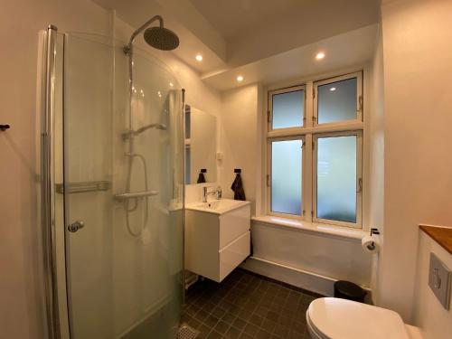 y baño con ducha, aseo y lavamanos. en City Sleep Svendborg, en Svendborg