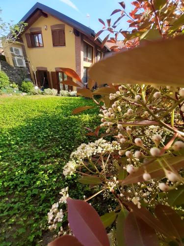 een boom met witte bloemen voor een huis bij CASA LAVANDA in Rivoli