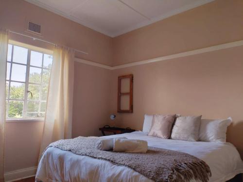 a bedroom with a large bed with a window at Riverview Country Inn in Van Reenen