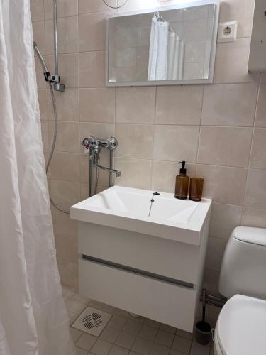 科沃拉的住宿－Kymi apart，一间带水槽、淋浴和卫生间的浴室