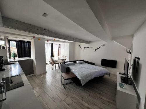ein Schlafzimmer mit einem Bett und ein Wohnzimmer in der Unterkunft Charmante maison Climatisé avec Netflix et Disney plus in Touet-de-lʼEscarène