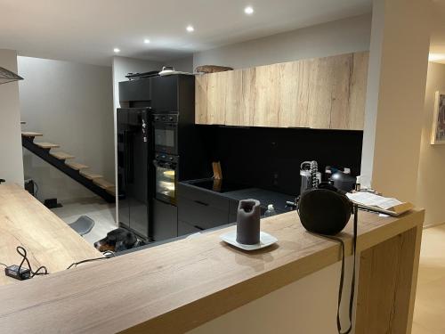 Il comprend une cuisine équipée d'un comptoir et d'un réfrigérateur noir. dans l'établissement Villa Ioda, à Chasseneuil-du-Poitou