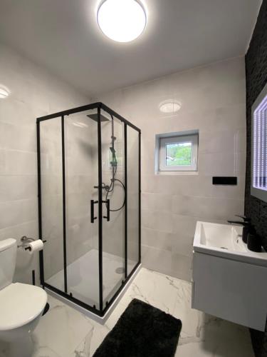 a bathroom with a shower and a toilet and a sink at Domek Pod Gwiazdami Bieszczady in Hużele